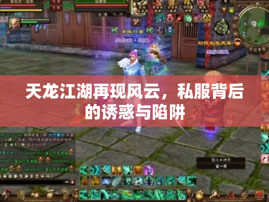 天龙江湖再现风云，私服背后的诱惑与陷阱