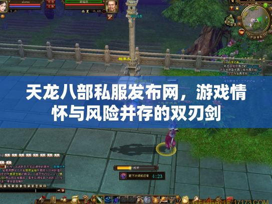 天龙八部私服发布网，游戏情怀与风险并存的双刃剑