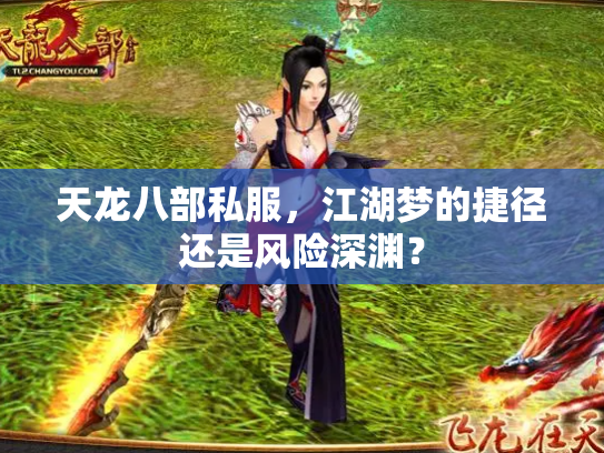 天龙八部私服，江湖梦的捷径还是风险深渊？
