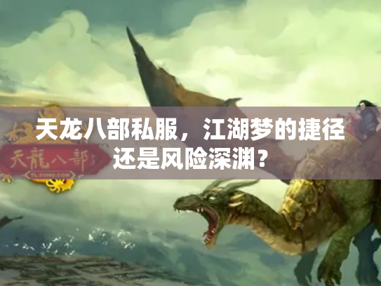 天龙八部私服，江湖梦的捷径还是风险深渊？