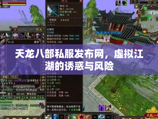 天龙八部私服发布网，虚拟江湖的诱惑与风险