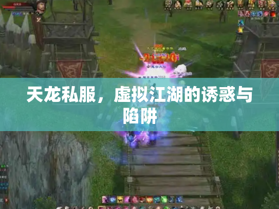 天龙私服，虚拟江湖的诱惑与陷阱