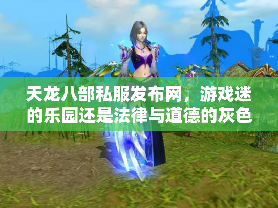天龙八部私服发布网，游戏迷的乐园还是法律与道德的灰色地带？