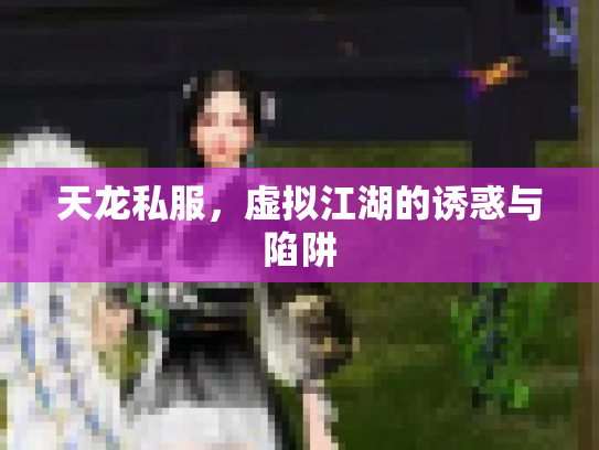 天龙私服，虚拟江湖的诱惑与陷阱