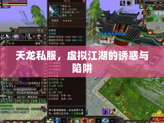 天龙私服，虚拟江湖的诱惑与陷阱