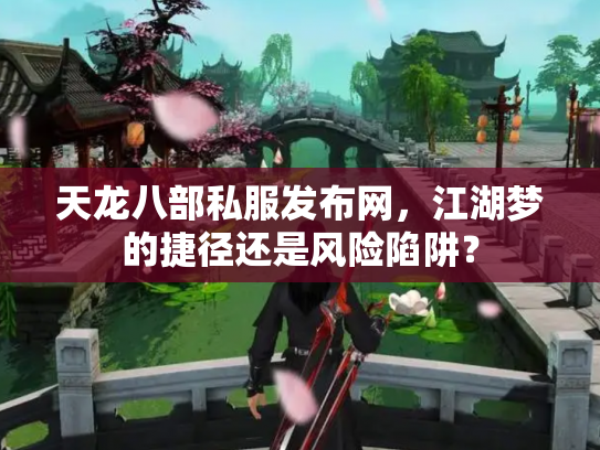 天龙八部私服发布网，江湖梦的捷径还是风险陷阱？
