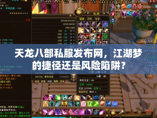 天龙八部私服发布网，江湖梦的捷径还是风险陷阱？
