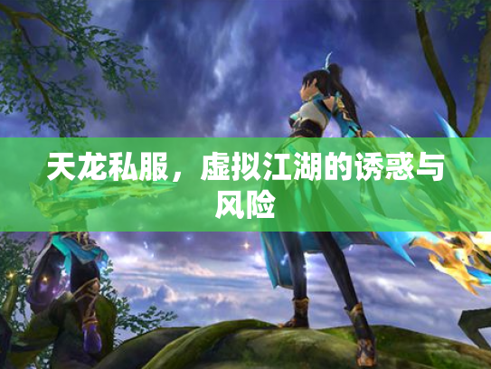 天龙私服，虚拟江湖的诱惑与风险