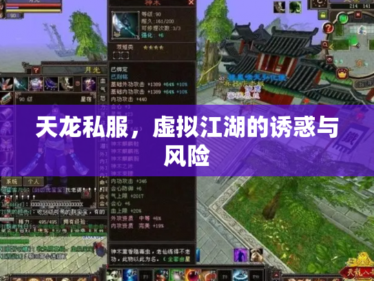 天龙私服，虚拟江湖的诱惑与风险