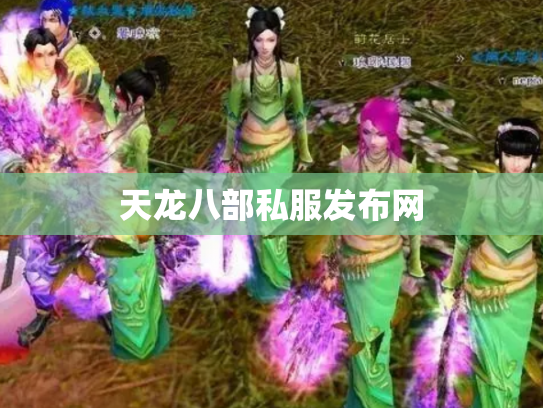 天龙八部私服发布网