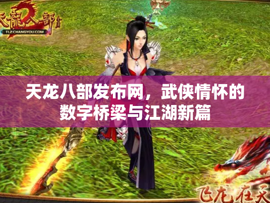 天龙八部发布网，武侠情怀的数字桥梁与江湖新篇