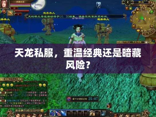 天龙私服，重温经典还是暗藏风险？