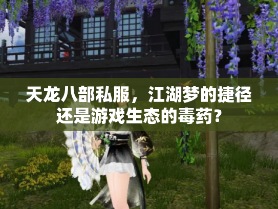 天龙八部私服，江湖梦的捷径还是游戏生态的毒药？