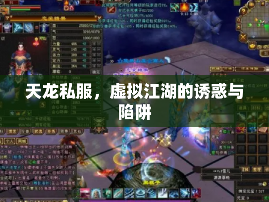 天龙私服，虚拟江湖的诱惑与陷阱