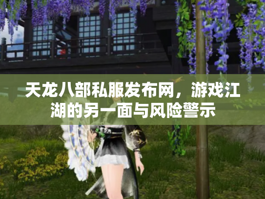 天龙八部私服发布网，游戏江湖的另一面与风险警示