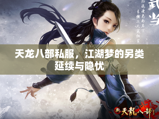 天龙八部私服，江湖梦的另类延续与隐忧