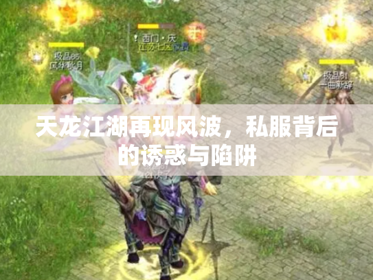 天龙江湖再现风波，私服背后的诱惑与陷阱