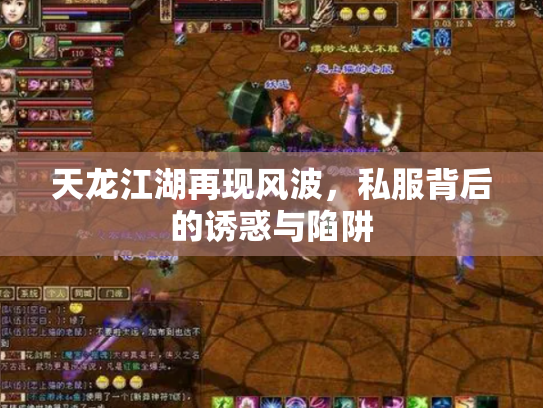 天龙江湖再现风波，私服背后的诱惑与陷阱