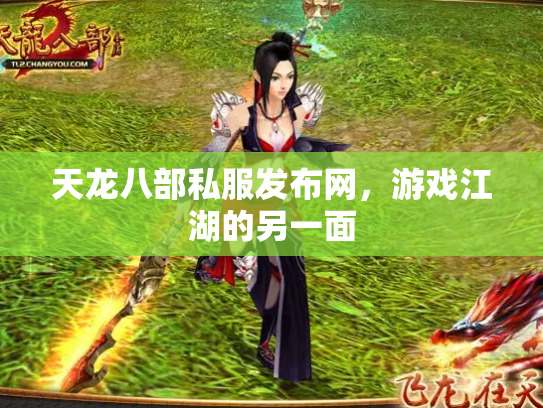天龙八部私服发布网，游戏江湖的另一面