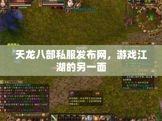 天龙八部私服发布网，游戏江湖的另一面