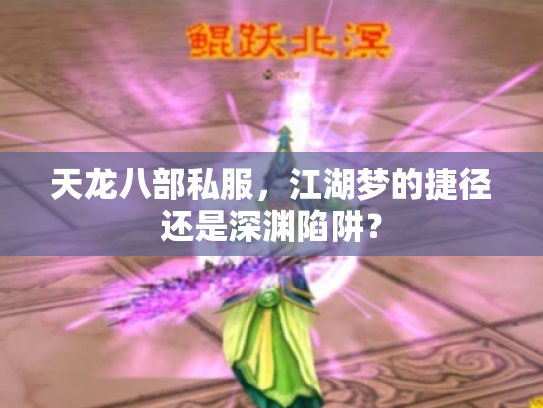 天龙八部私服，江湖梦的捷径还是深渊陷阱？