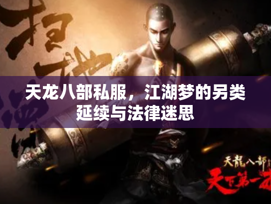 天龙八部私服，江湖梦的另类延续与法律迷思