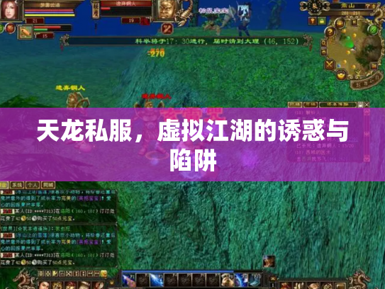 天龙私服，虚拟江湖的诱惑与陷阱