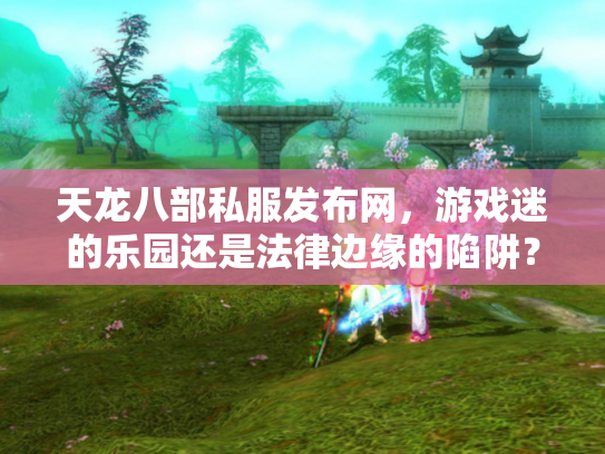 天龙八部私服发布网，游戏迷的乐园还是法律边缘的陷阱？