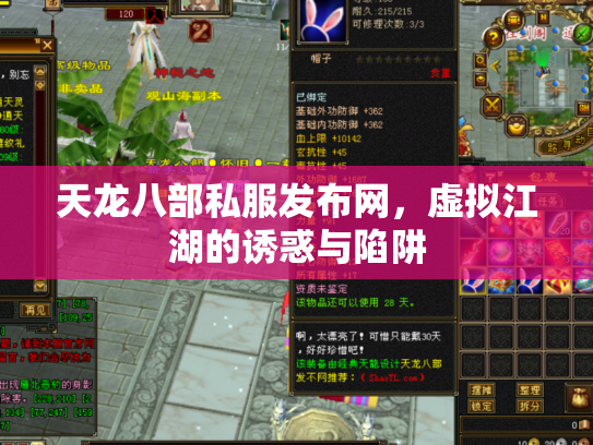 天龙八部私服发布网，虚拟江湖的诱惑与陷阱