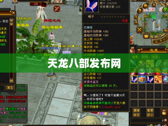 天龙八部发布网