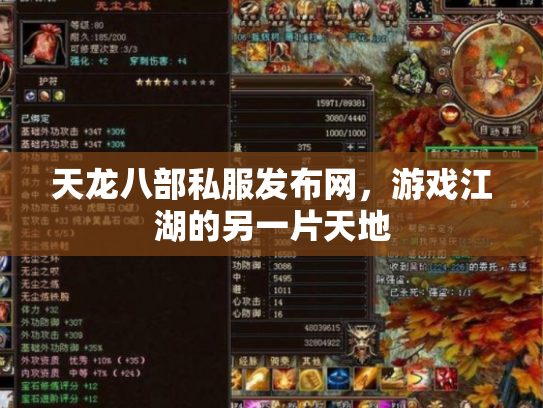 天龙八部私服发布网，游戏江湖的另一片天地