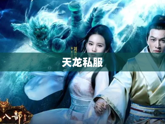 天龙私服