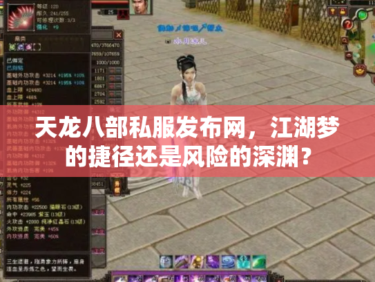 天龙八部私服发布网，江湖梦的捷径还是风险的深渊？