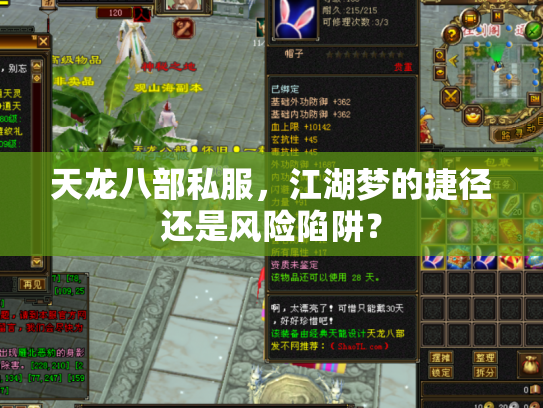 天龙八部私服，江湖梦的捷径还是风险陷阱？
