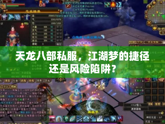 天龙八部私服，江湖梦的捷径还是风险陷阱？