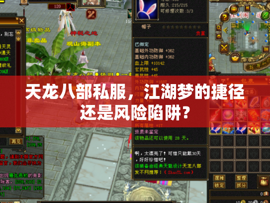 天龙八部私服，江湖梦的捷径还是风险陷阱？