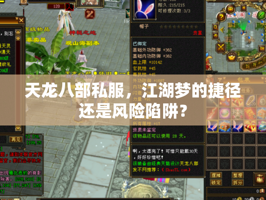 天龙八部私服，江湖梦的捷径还是风险陷阱？