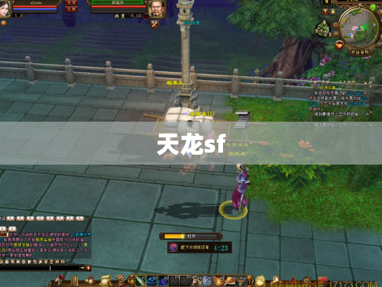 天龙sf