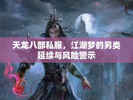 天龙八部私服，江湖梦的另类延续与风险警示