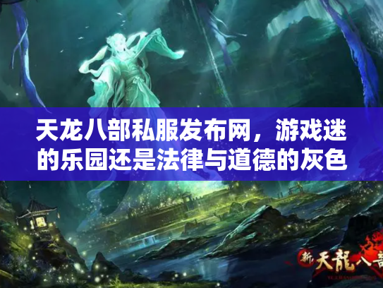 天龙八部私服发布网，游戏迷的乐园还是法律与道德的灰色地带？