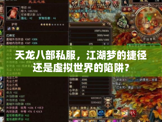 天龙八部私服，江湖梦的捷径还是虚拟世界的陷阱？