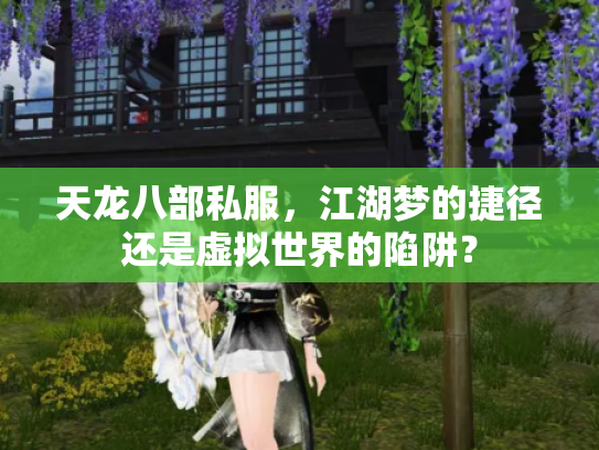 天龙八部私服，江湖梦的捷径还是虚拟世界的陷阱？