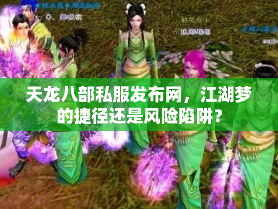 天龙八部私服发布网，江湖梦的捷径还是风险陷阱？