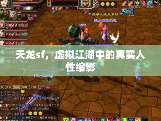 天龙sf，虚拟江湖中的真实人性缩影