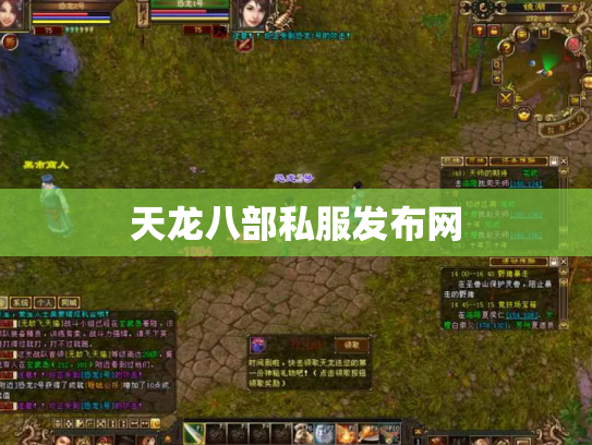 天龙八部私服发布网