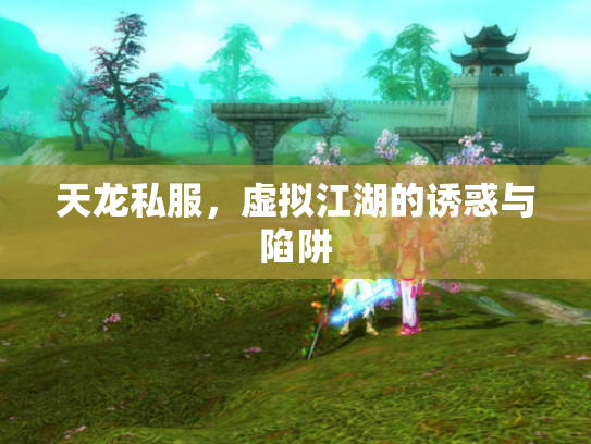 天龙私服，虚拟江湖的诱惑与陷阱