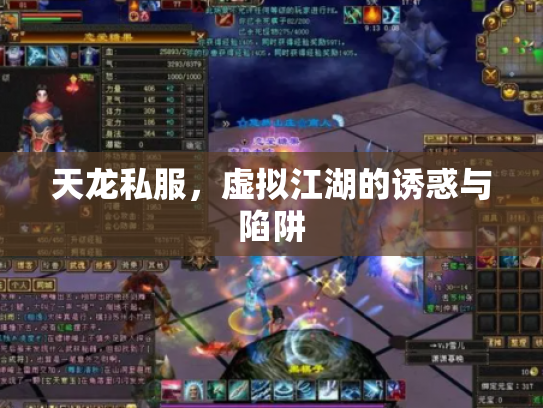 天龙私服，虚拟江湖的诱惑与陷阱