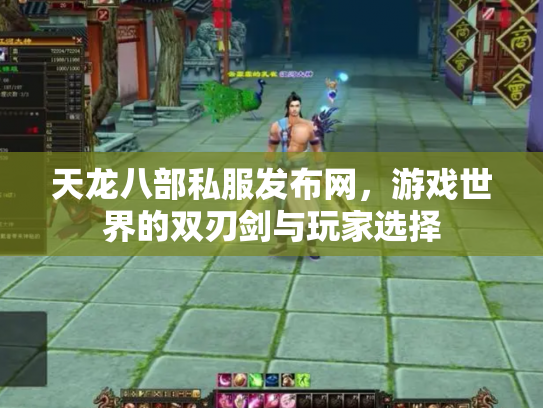 天龙八部私服发布网，游戏世界的双刃剑与玩家选择