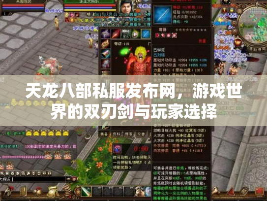 天龙八部私服发布网，游戏世界的双刃剑与玩家选择