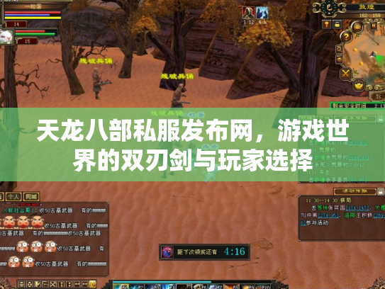 天龙八部私服发布网，游戏世界的双刃剑与玩家选择